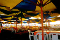 Open umbrellas