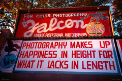 Falcon Photographers