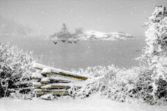 Indian Island Winter