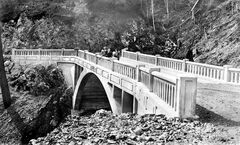 Mt. Constitution Bridge