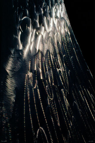 Steel Sculpture