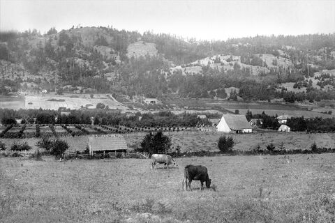 Crow Valley, circa 1910