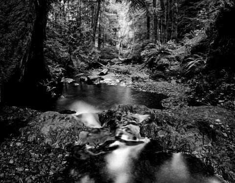 Cascade Falls