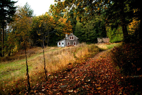 Norske Cabin