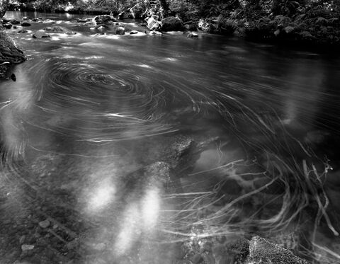 Stream With Bubbles