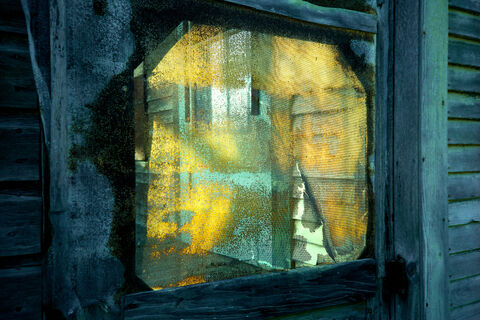 Screen Door