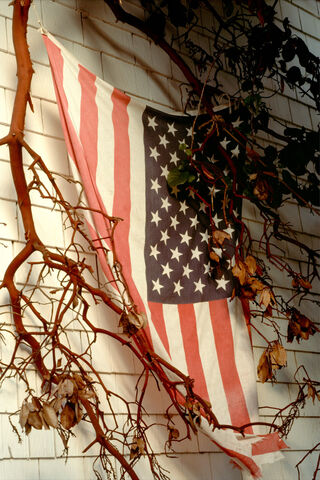 July 4th on Waldron Island