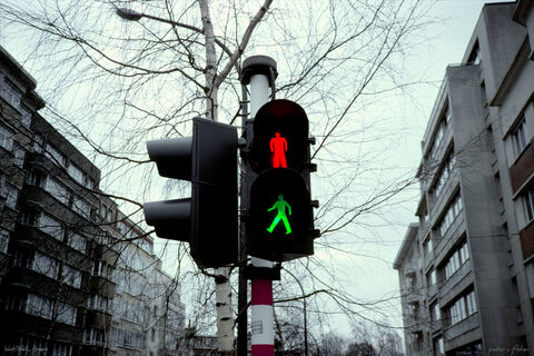 Wait or Walk?