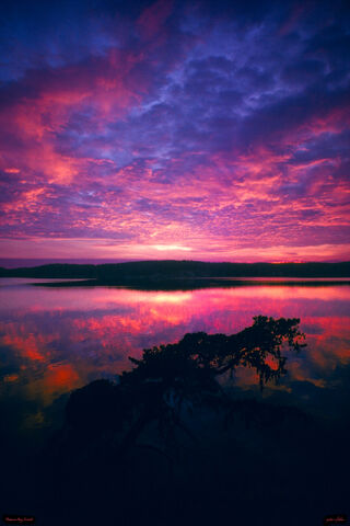 Massacre Bay sunset