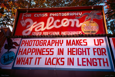 Falcon Photographers