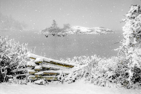 Indian Island Winter