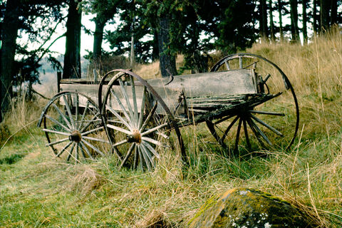 Old Wagon
