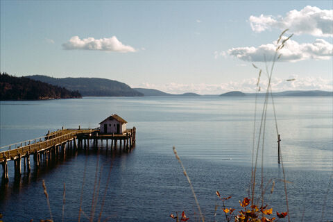Old olga Dock